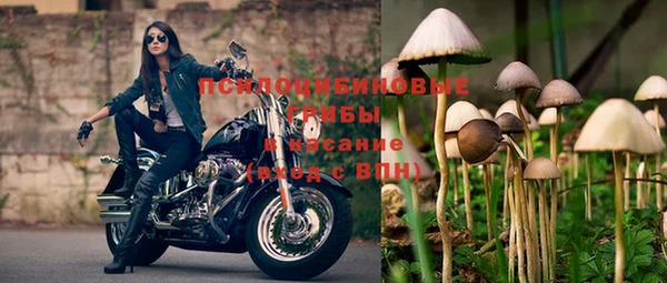 синтетический гашиш Алексеевка